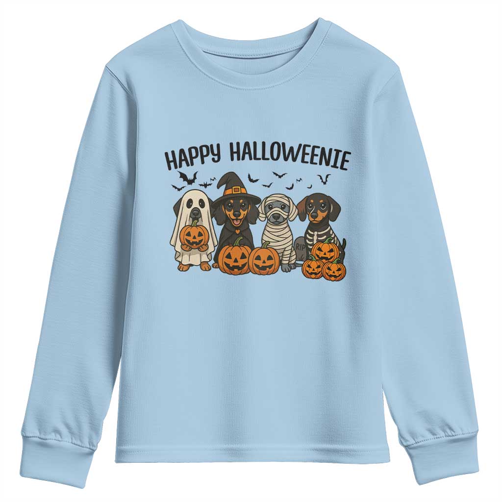 Funny Halloween Dachshund Youth Sweatshirt Happy Halloweenie TS12 Light Blue Print Your Wear