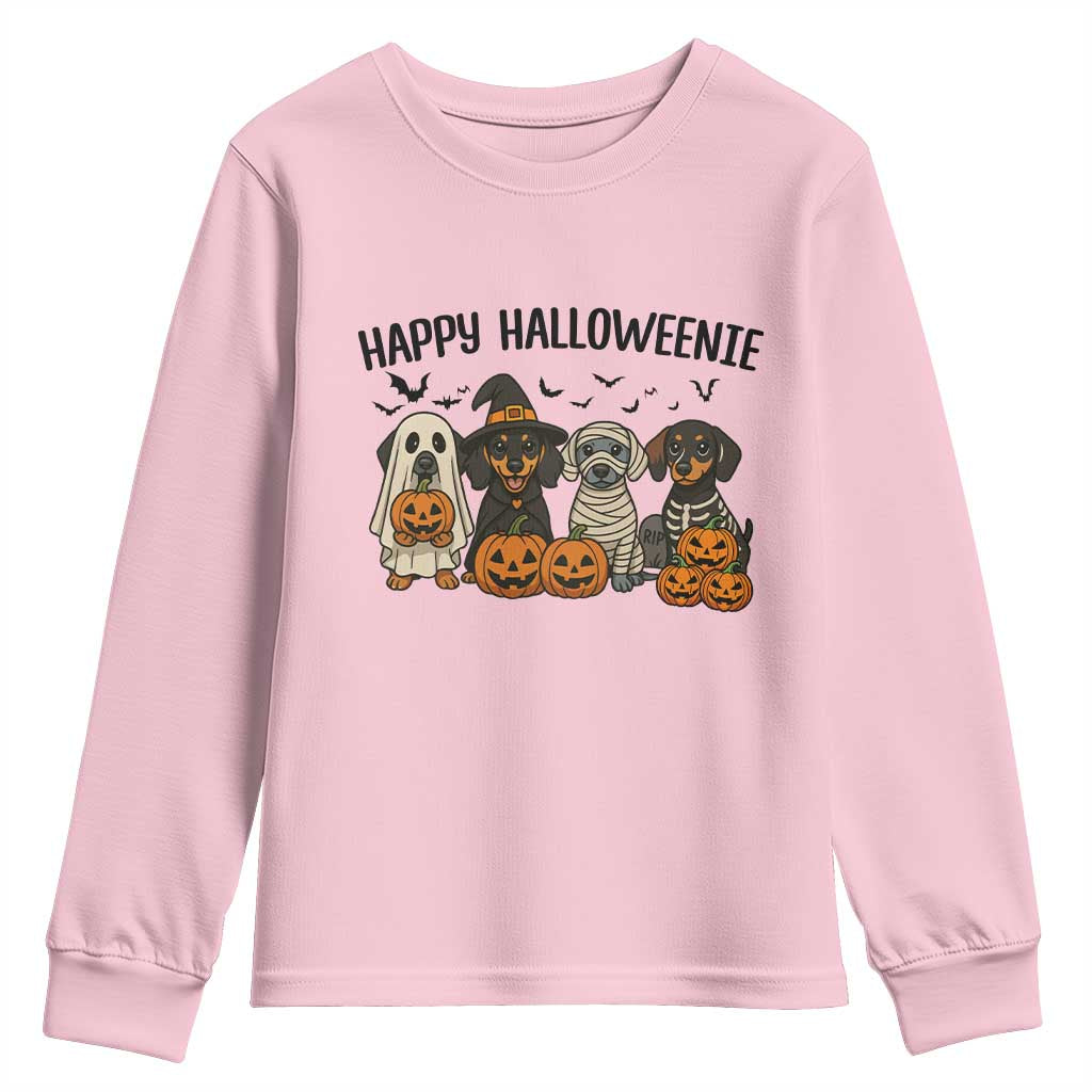 Funny Halloween Dachshund Youth Sweatshirt Happy Halloweenie TS12 Light Pink Print Your Wear