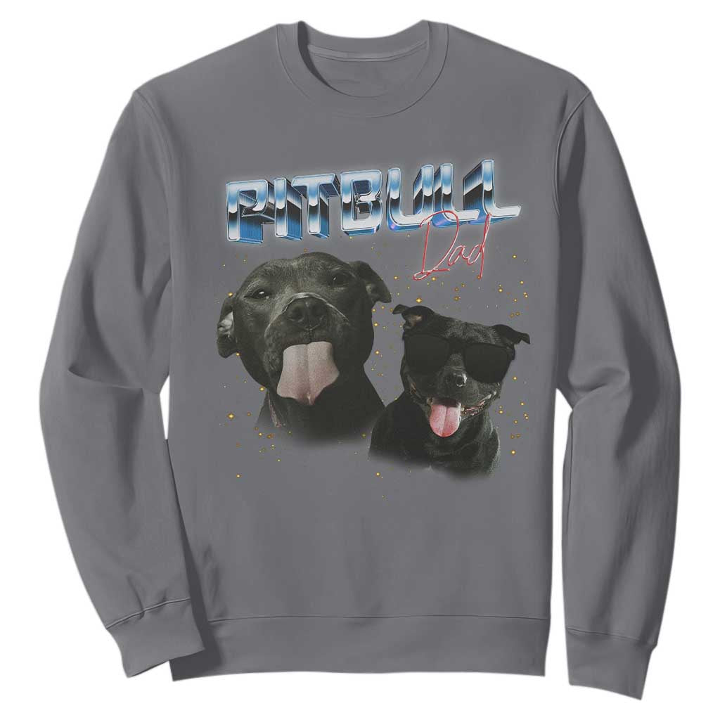 Pitbull Dad Sweatshirt Funny Gift For Pitbull Lover TS12 Charcoal Print Your Wear