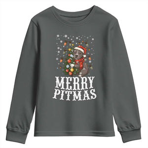 Christmas Pitbull Youth Sweatshirt Funny Merry Pitmas Tree Hug TS12 Dark Heather Print Your Wear