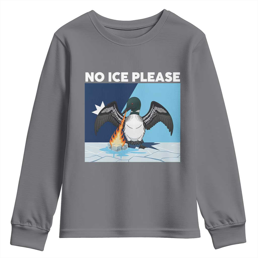 Funny Fire Breathing Loon Youth Sweatshirt No Ice Please TS12 Charcoal Print Your Wear