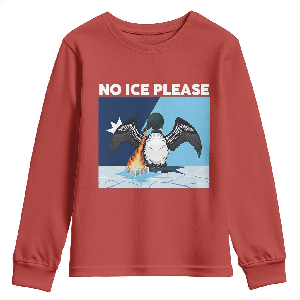 Funny Fire Breathing Loon Youth Sweatshirt No Ice Please TS12 Red Print Your Wear