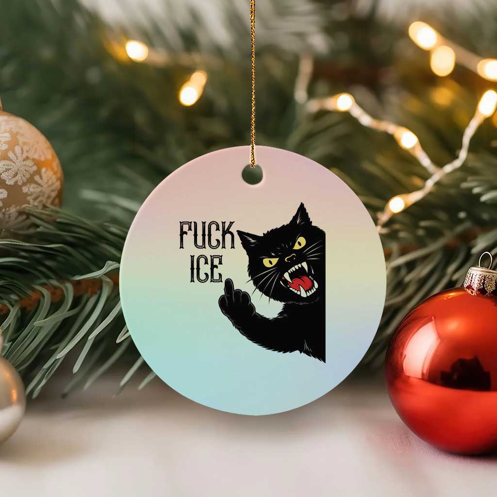 Funny Fck Ice Black Cat Ceramic Ornament Resist Minneapolis Political TS12 1pc Pastel Print Your Wear