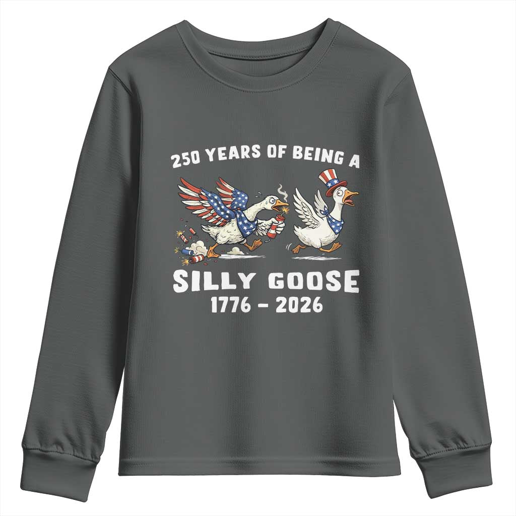 Funny Patriotic Goose Youth Sweatshirt 250 Years Of Being A Silly Goose TS12 Dark Heather Print Your Wear