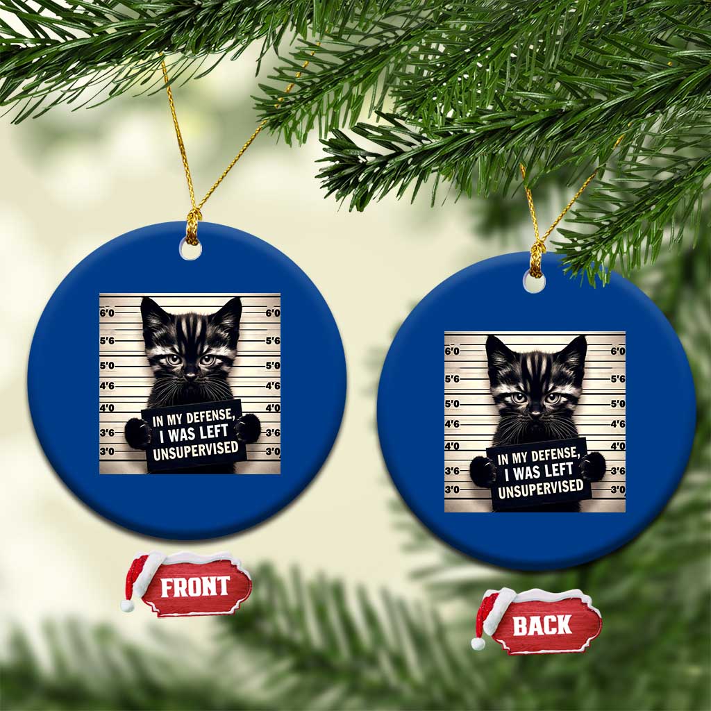 Funny Bad Cat Attitude Ceramic Ornament In My Defense I Was Left Unsupervised TS12 1pc Blue Print Your Wear