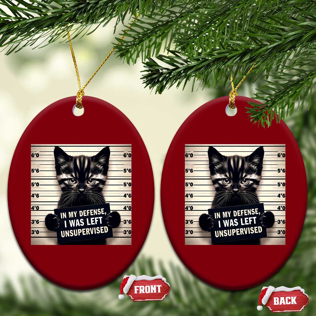 Funny Bad Cat Attitude Ceramic Ornament In My Defense I Was Left Unsupervised TS12 Print Your Wear