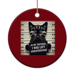 Funny Bad Cat Attitude Ceramic Ornament In My Defense I Was Left Unsupervised TS12 1pc Red Print Your Wear