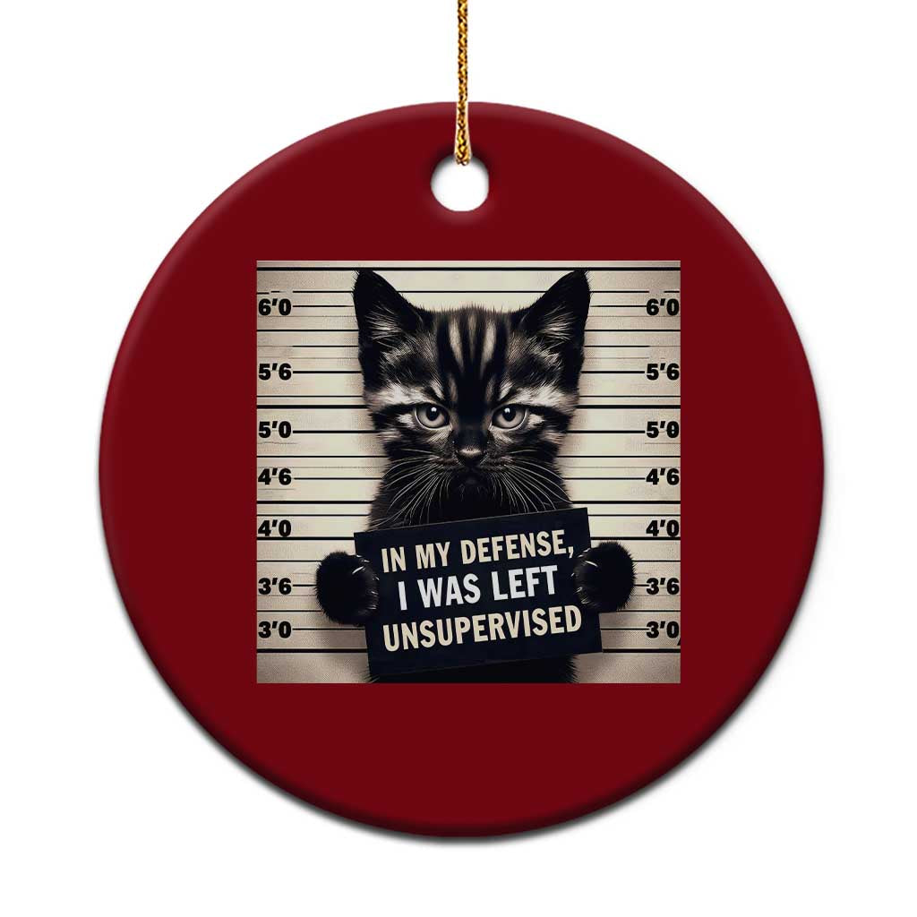 Funny Bad Cat Attitude Ceramic Ornament In My Defense I Was Left Unsupervised TS12 1pc Red Print Your Wear