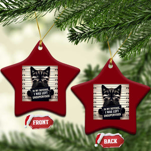 Funny Bad Cat Attitude Ceramic Ornament In My Defense I Was Left Unsupervised TS12 Print Your Wear