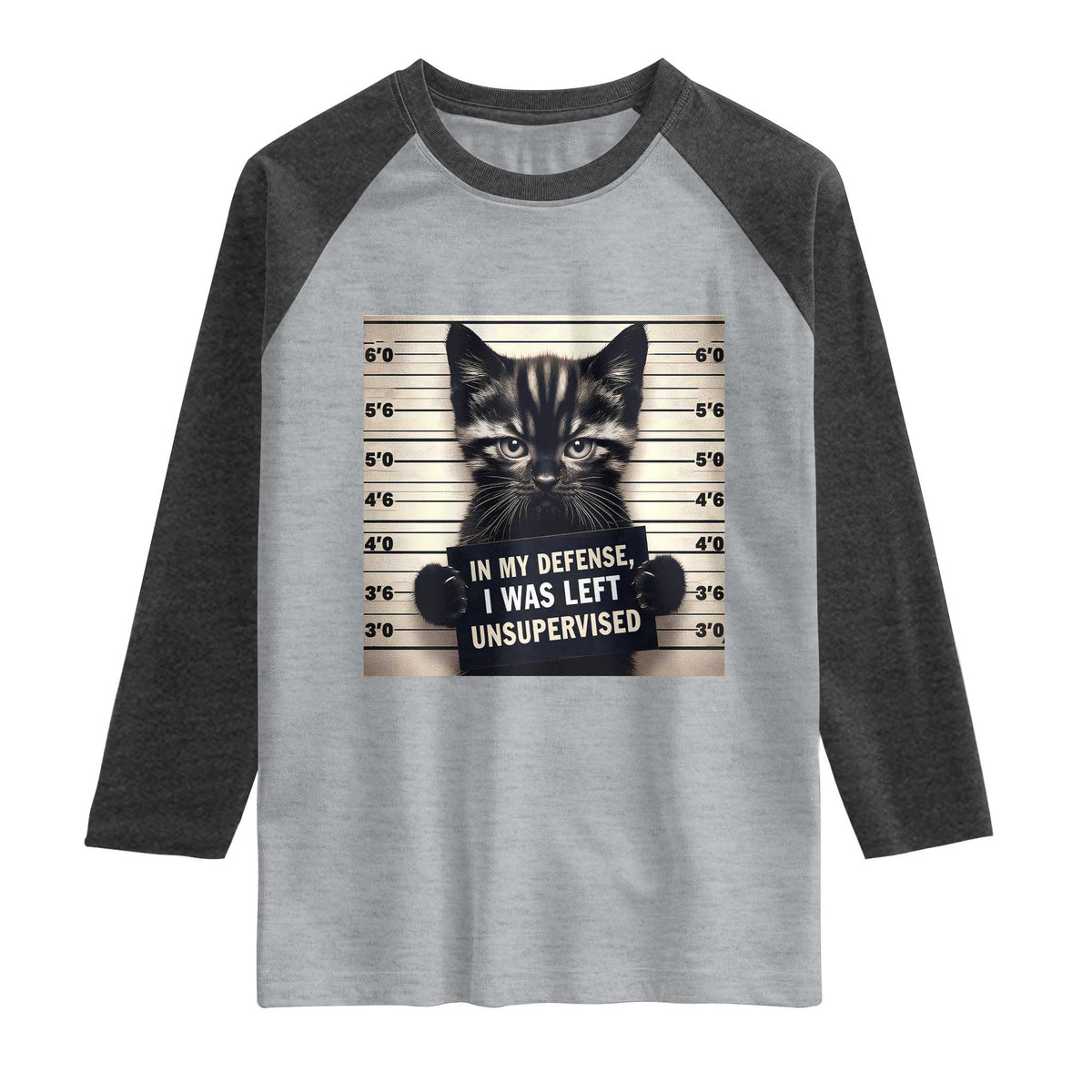 Funny Bad Cat Attitude Raglan Shirt In My Defense I Was Left Unsupervised TS12 Heather Gray Heather Charcoal Print Your Wear