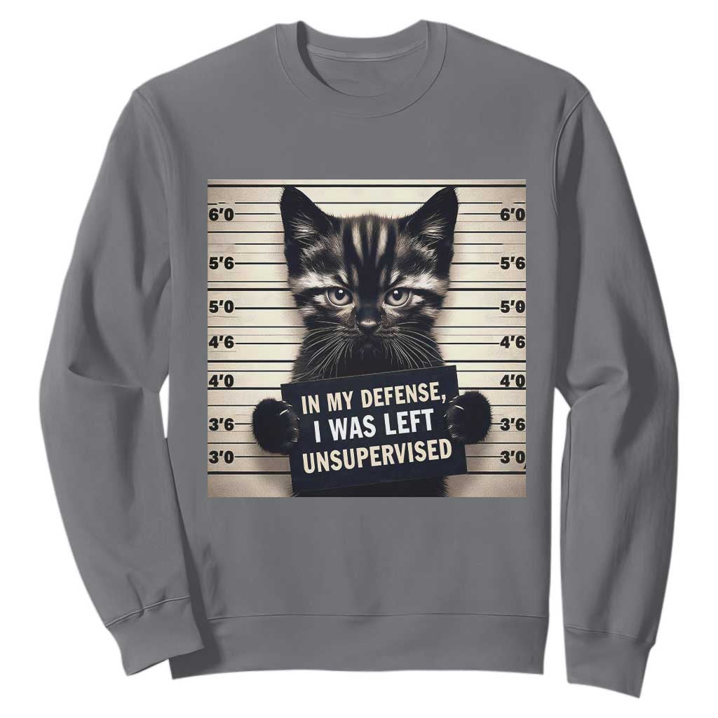 Funny Bad Cat Attitude Sweatshirt In My Defense I Was Left Unsupervised TS12 Charcoal Print Your Wear