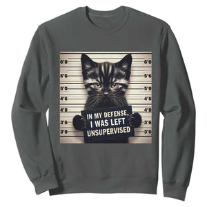 Funny Bad Cat Attitude Sweatshirt In My Defense I Was Left Unsupervised TS12 Dark Heather Print Your Wear