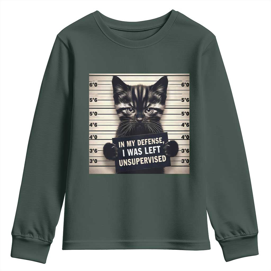 Funny Bad Cat Attitude Youth Sweatshirt In My Defense I Was Left Unsupervised TS12 Dark Forest Green Print Your Wear