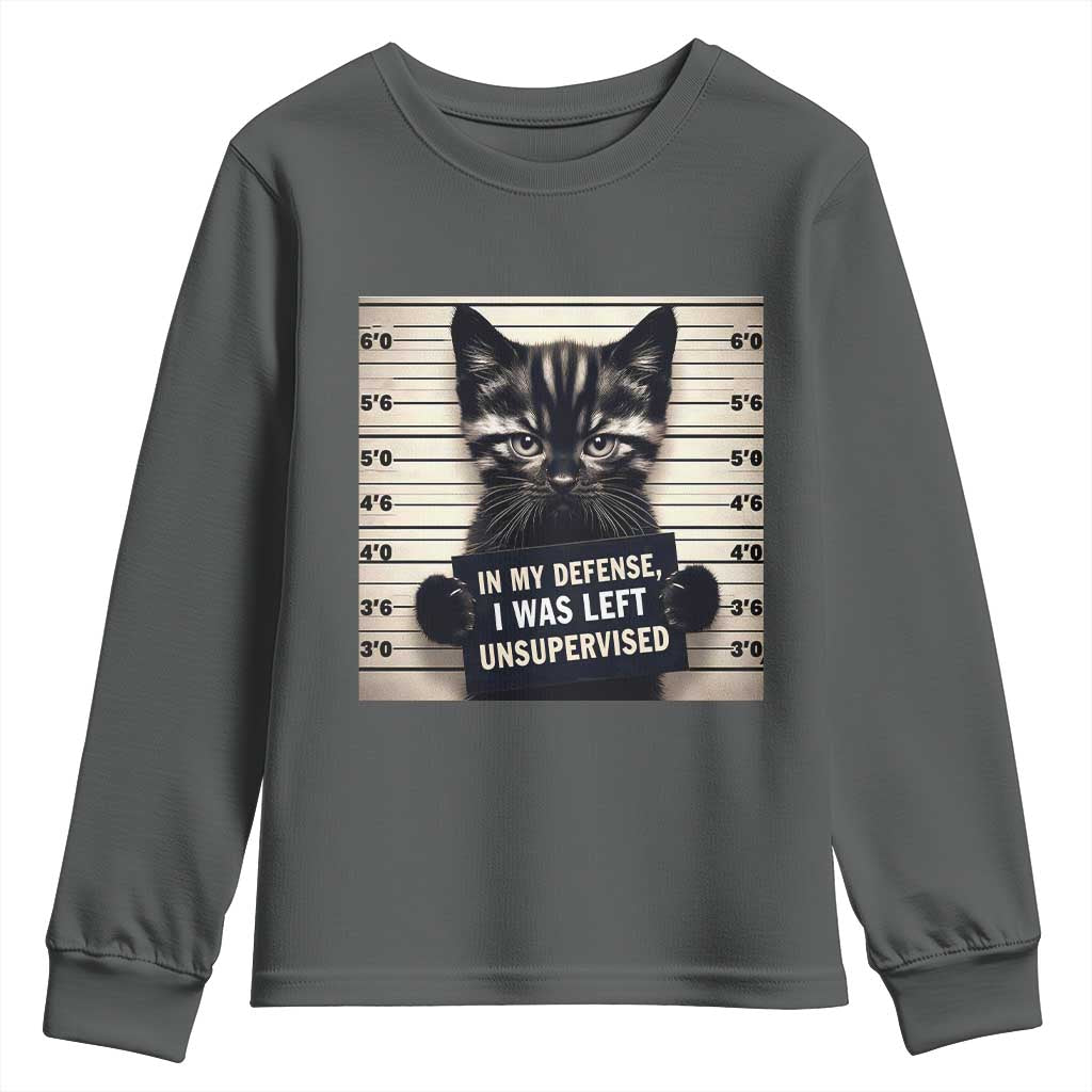 Funny Bad Cat Attitude Youth Sweatshirt In My Defense I Was Left Unsupervised TS12 Dark Heather Print Your Wear