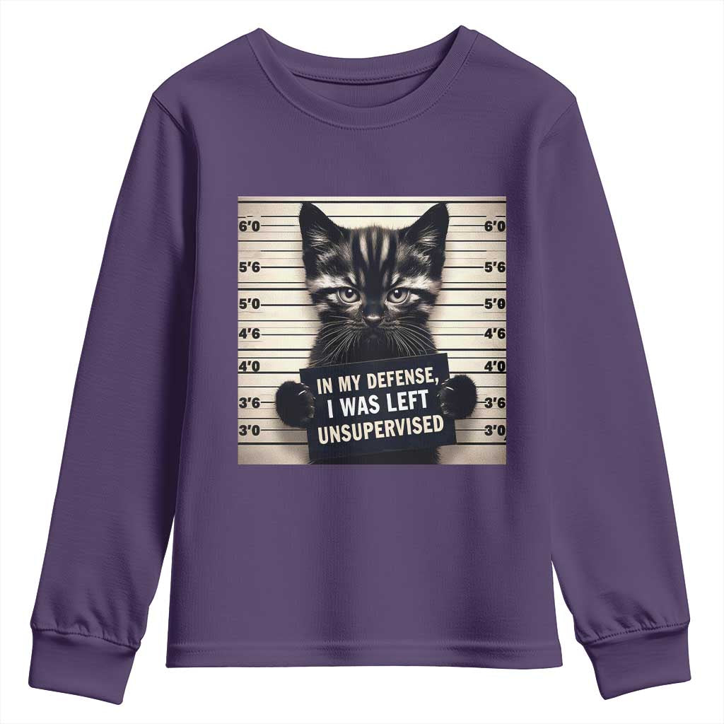 Funny Bad Cat Attitude Youth Sweatshirt In My Defense I Was Left Unsupervised TS12 Purple Print Your Wear