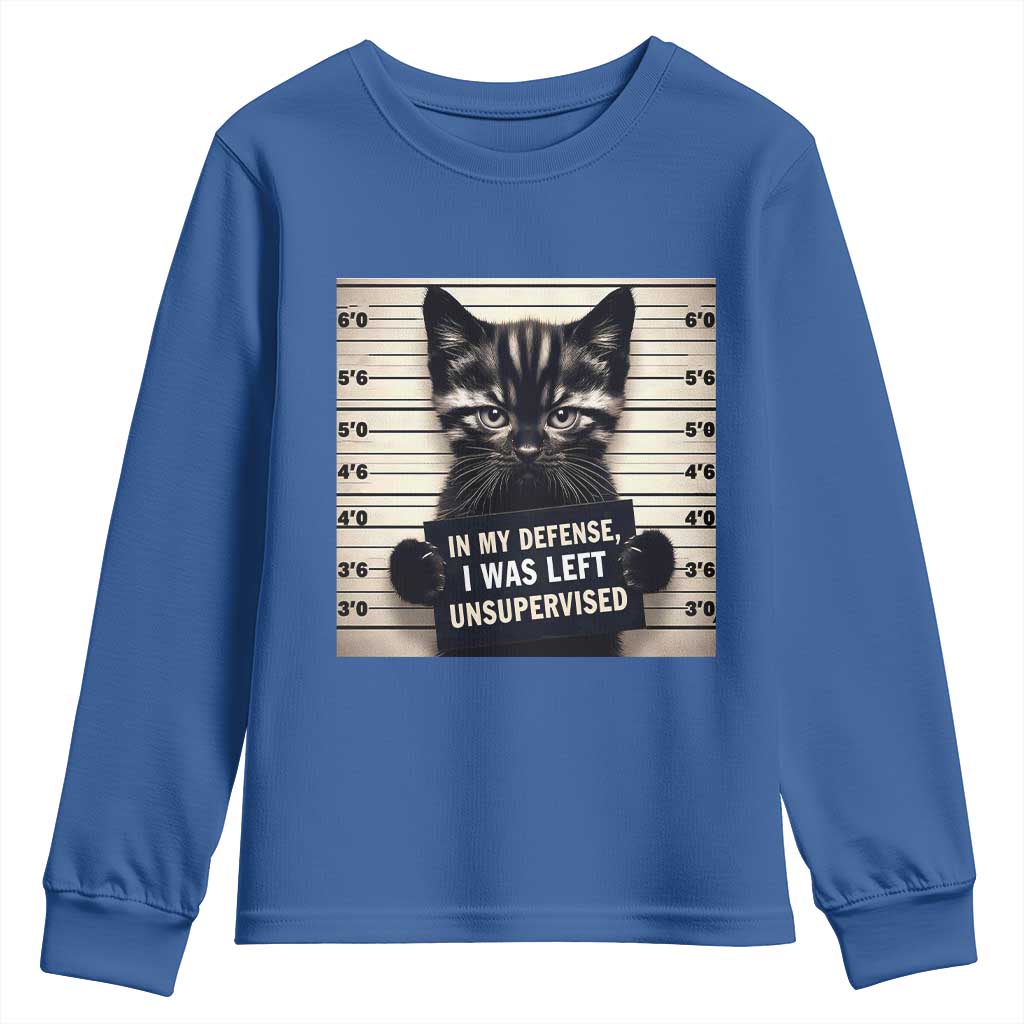 Funny Bad Cat Attitude Youth Sweatshirt In My Defense I Was Left Unsupervised TS12 Royal Blue Print Your Wear