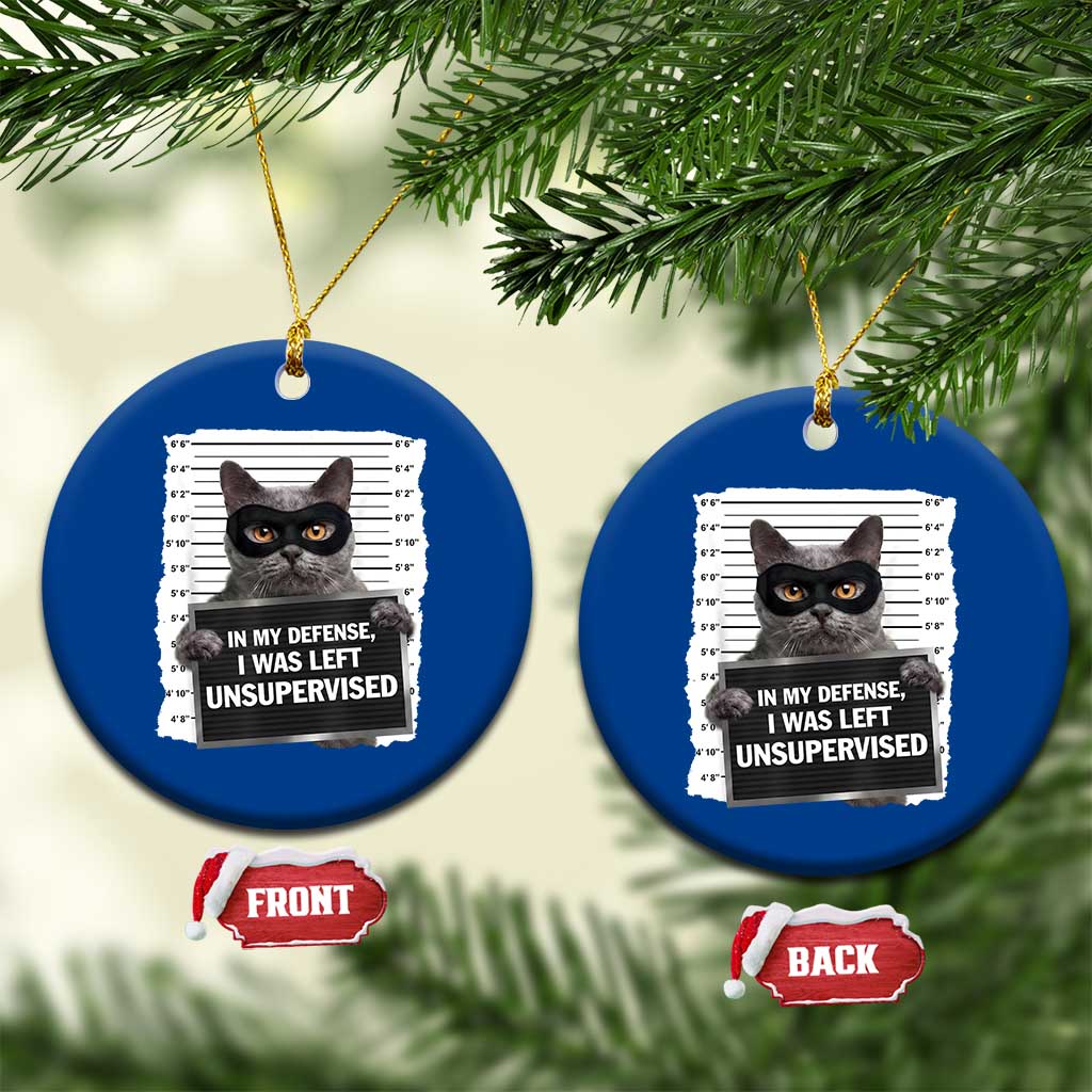 Funny Cat Mugshot Ceramic Ornament In My Defense I Was Left Unsupervised TS12 1pc Blue Print Your Wear