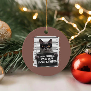 Funny Cat Mugshot Ceramic Ornament In My Defense I Was Left Unsupervised TS12 1pc Mocha Print Your Wear