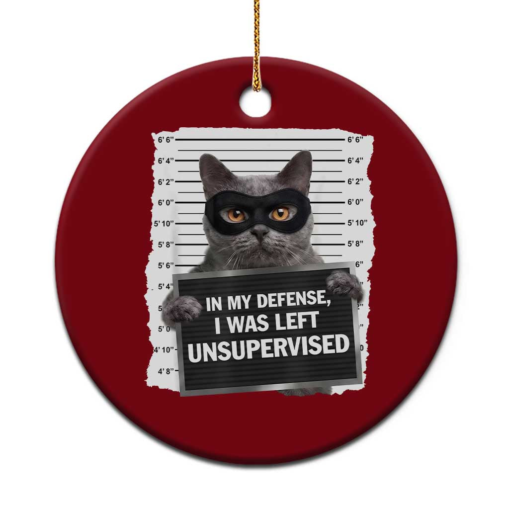 Funny Cat Mugshot Ceramic Ornament In My Defense I Was Left Unsupervised TS12 1pc Red Print Your Wear