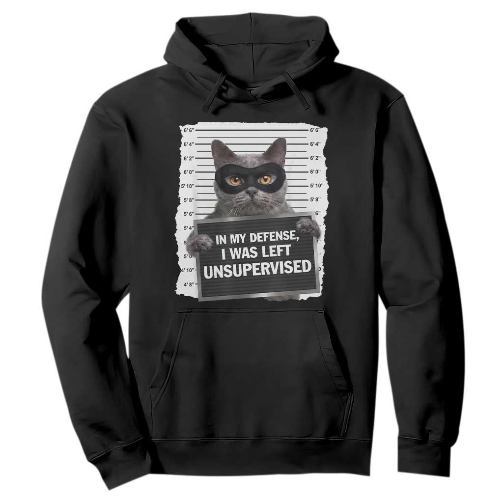 Funny Cat Mugshot Hoodie In My Defense I Was Left Unsupervised TS12 Black Print Your Wear