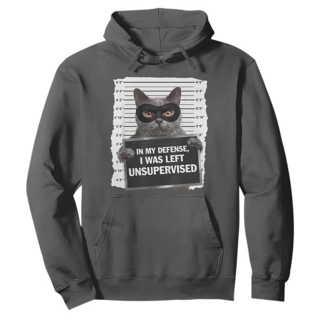 Funny Cat Mugshot Hoodie In My Defense I Was Left Unsupervised TS12 Dark Heather Print Your Wear