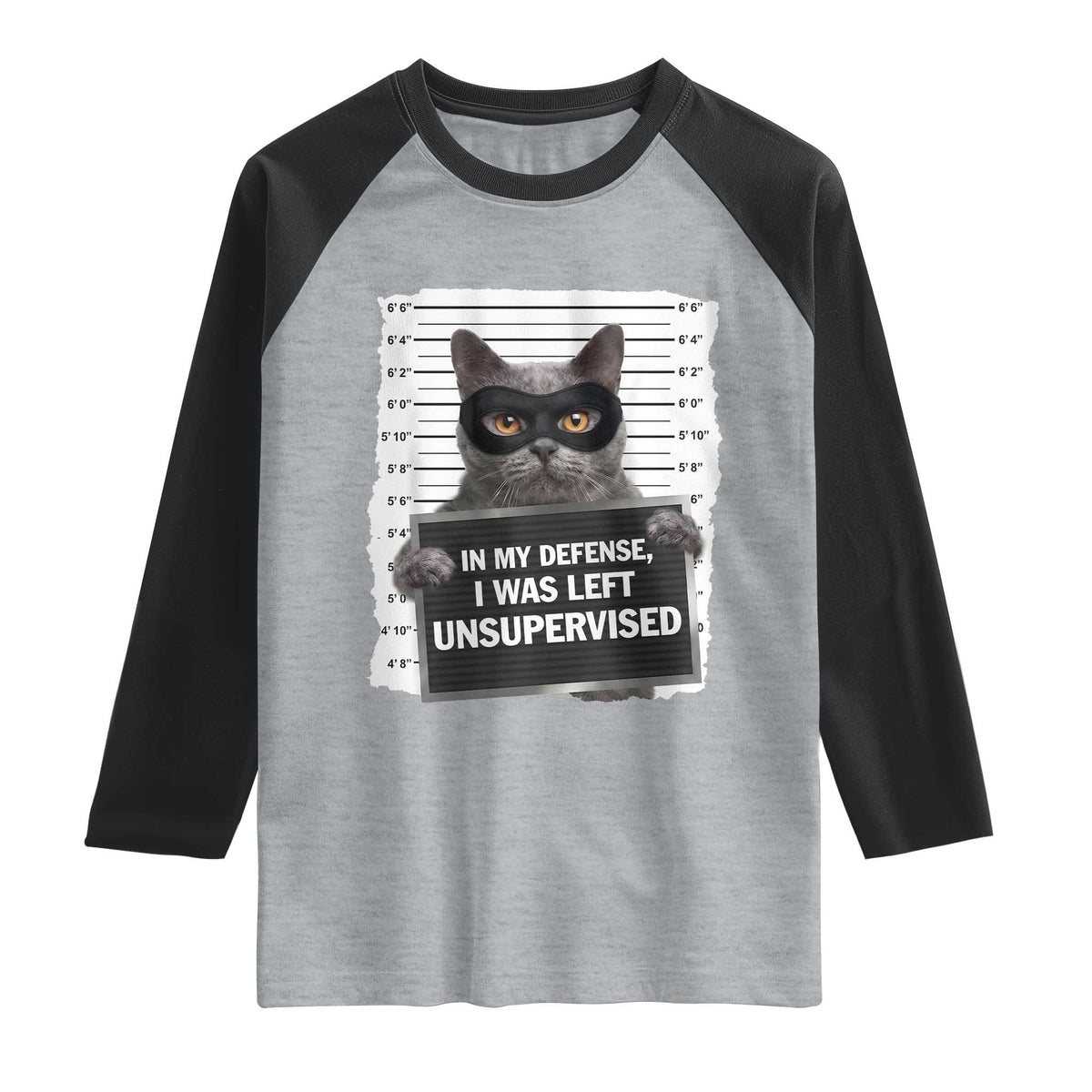 Funny Cat Mugshot Raglan Shirt In My Defense I Was Left Unsupervised TS12 Heather Gray Black Print Your Wear