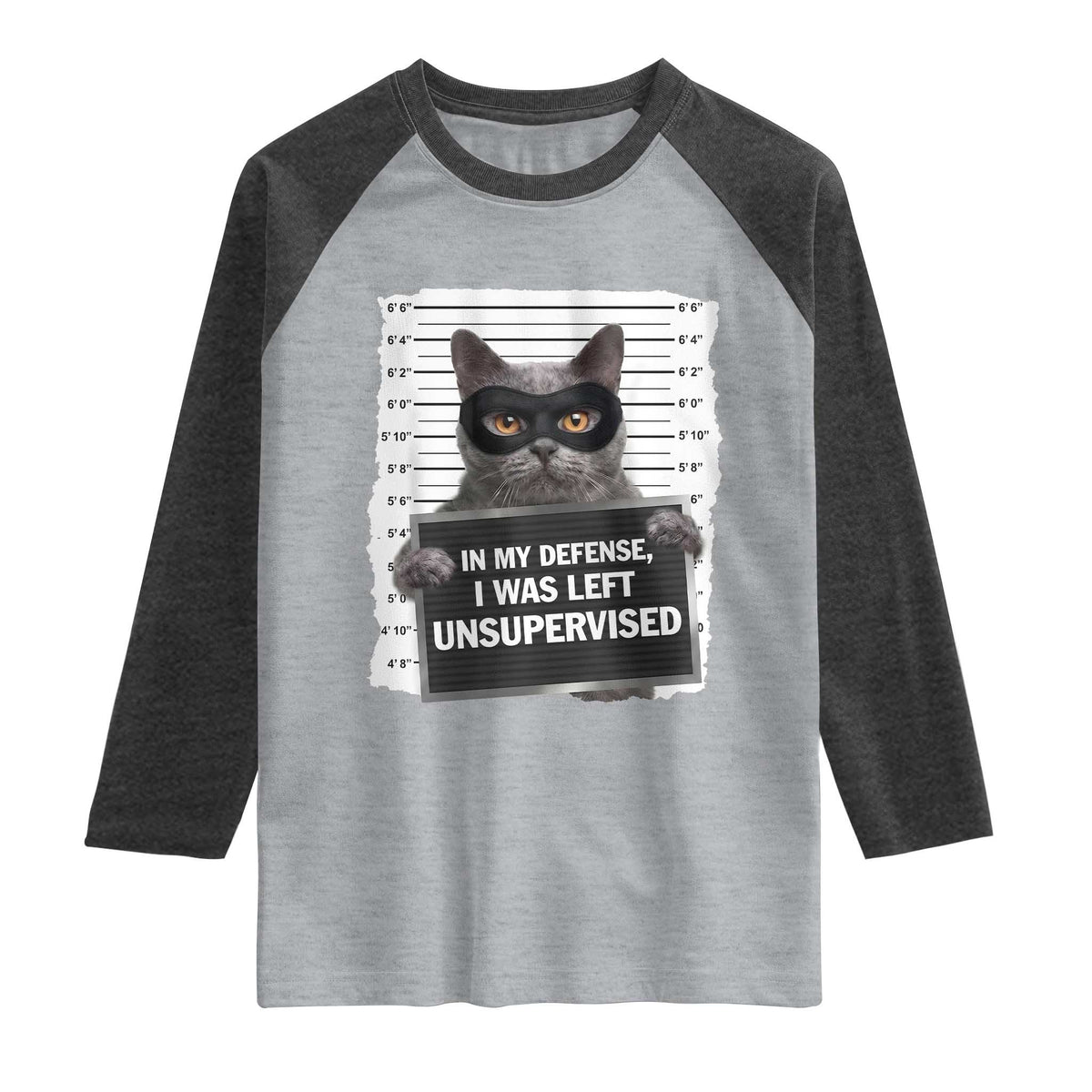 Funny Cat Mugshot Raglan Shirt In My Defense I Was Left Unsupervised TS12 Heather Gray Heather Charcoal Print Your Wear