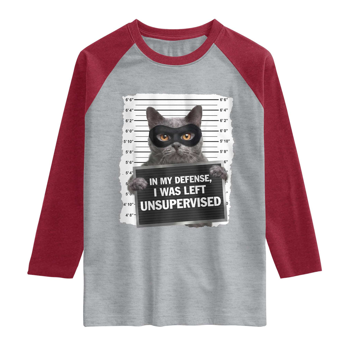 Funny Cat Mugshot Raglan Shirt In My Defense I Was Left Unsupervised TS12 Heather Gray Heather Red Print Your Wear