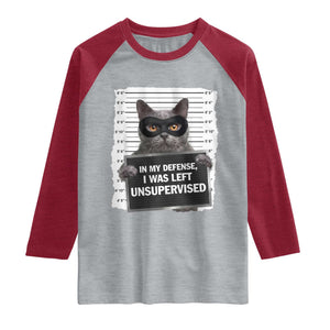 Funny Cat Mugshot Raglan Shirt In My Defense I Was Left Unsupervised TS12 Heather Gray Heather Red Print Your Wear