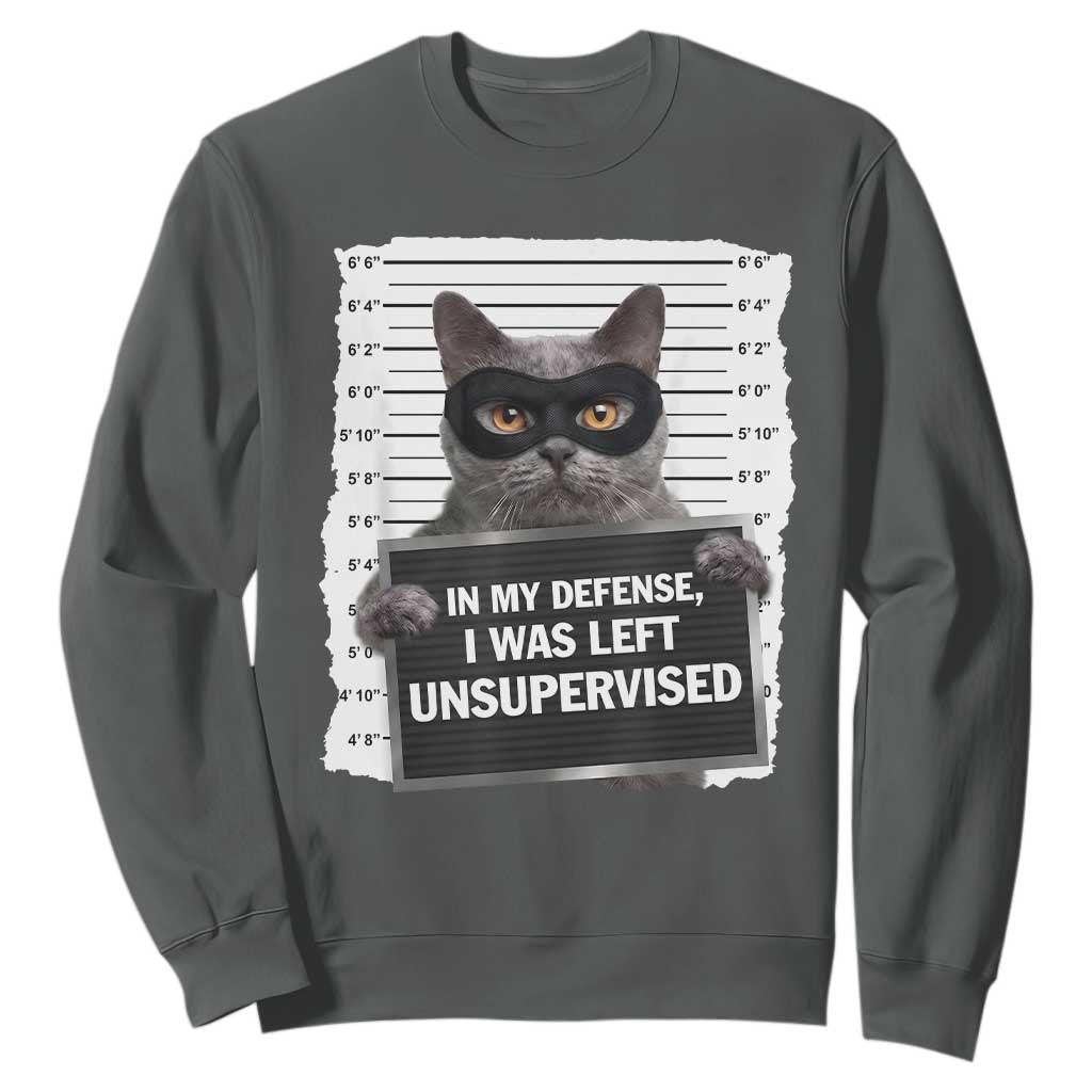 Funny Cat Mugshot Sweatshirt In My Defense I Was Left Unsupervised TS12 Dark Heather Print Your Wear