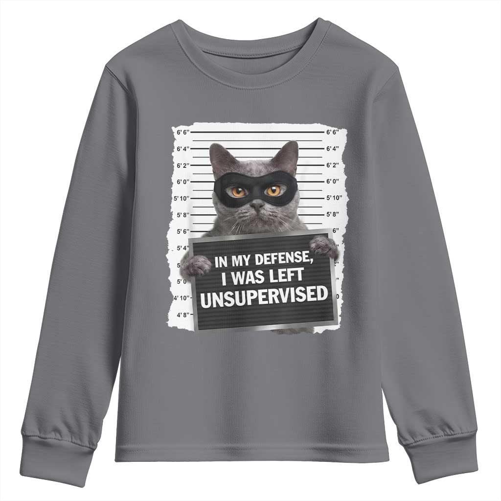 Funny Cat Mugshot Youth Sweatshirt In My Defense I Was Left Unsupervised TS12 Charcoal Print Your Wear