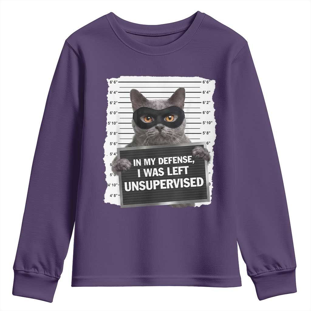 Funny Cat Mugshot Youth Sweatshirt In My Defense I Was Left Unsupervised TS12 Purple Print Your Wear