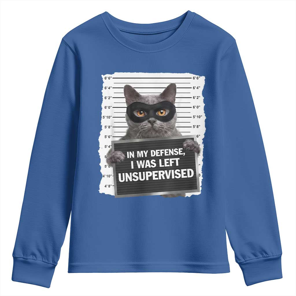 Funny Cat Mugshot Youth Sweatshirt In My Defense I Was Left Unsupervised TS12 Royal Blue Print Your Wear