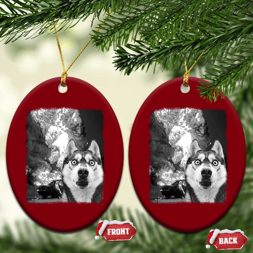 Funny Husky Chaos Ceramic Ornament Cool Dog Selfie With Burning Car TS12 Print Your Wear
