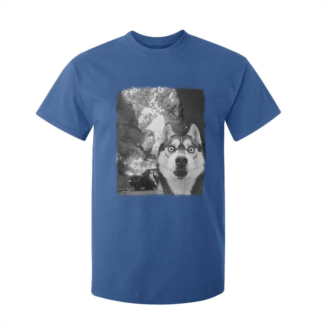 Funny Husky Chaos T Shirt For Kid Cool Dog Selfie With Burning Car TS12 Royal Blue Print Your Wear