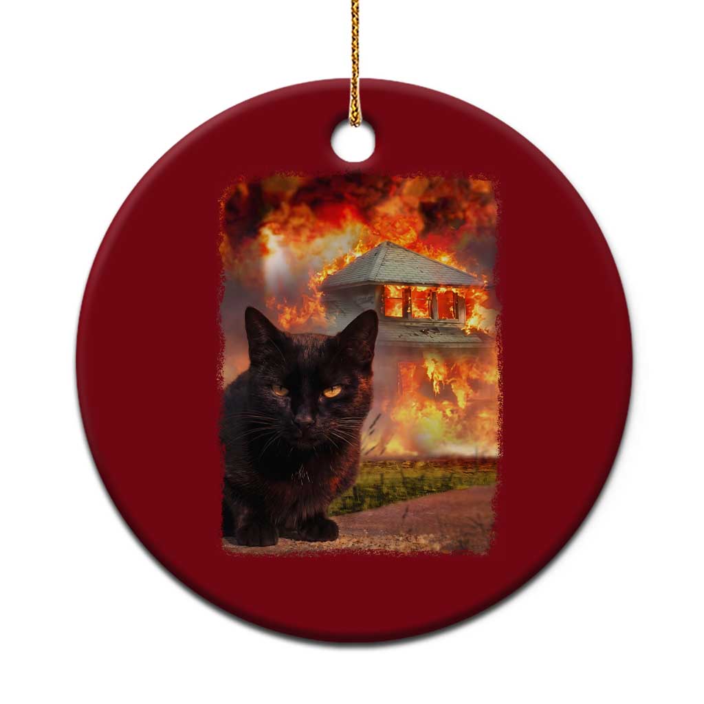 Funny Crazy Cat Selfie Ceramic Ornament Bad Kitty Chaos Humor Graphic TS12 1pc Red Print Your Wear