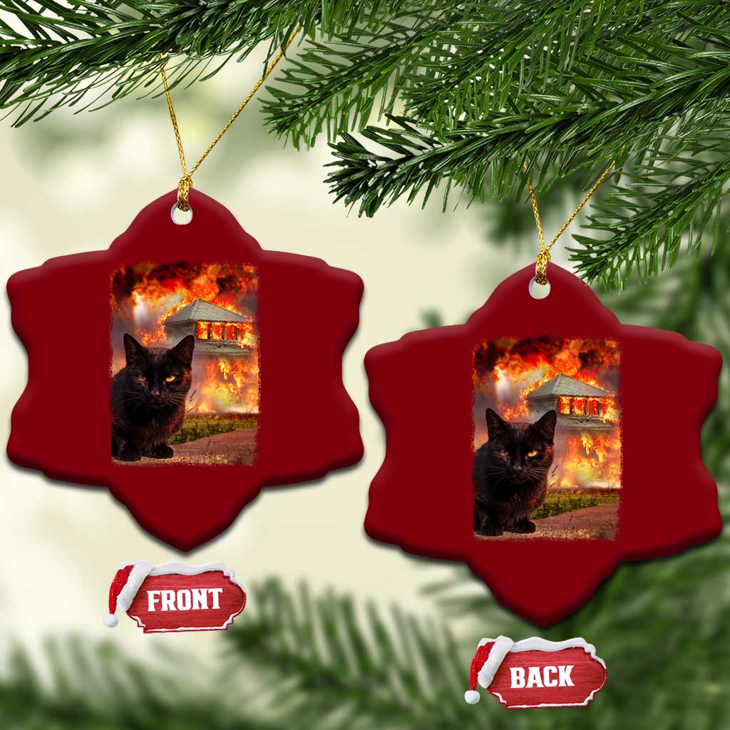Funny Crazy Cat Selfie Ceramic Ornament Bad Kitty Chaos Humor Graphic TS12 Print Your Wear