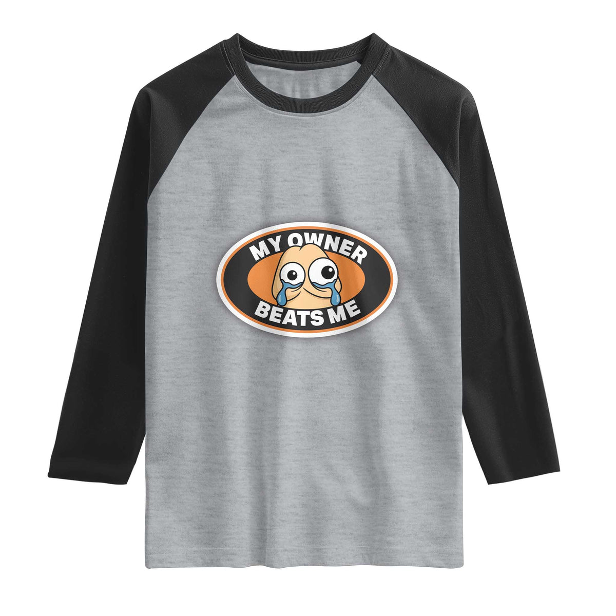 Humorous Dark Humor Raglan Shirt My Owner Beats Me TS12 Heather Gray Black Print Your Wear
