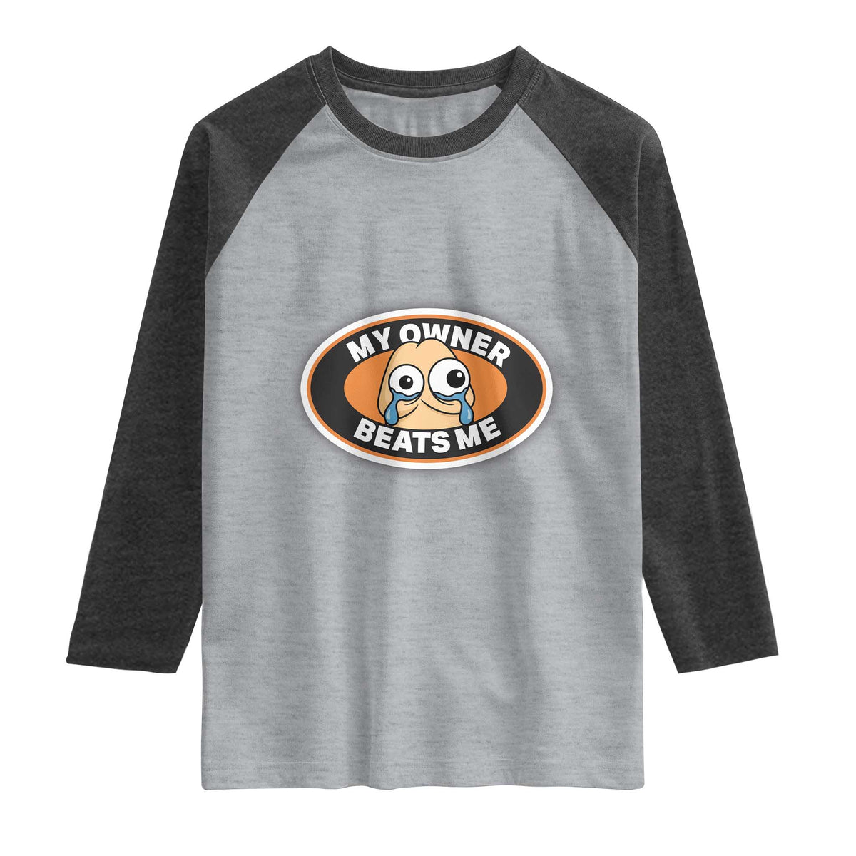 Humorous Dark Humor Raglan Shirt My Owner Beats Me TS12 Heather Gray Heather Charcoal Print Your Wear
