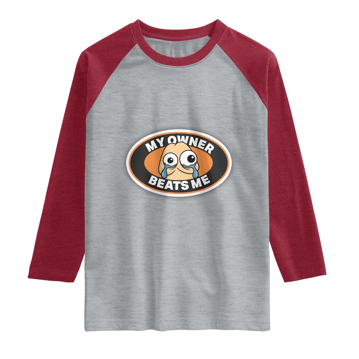 Humorous Dark Humor Raglan Shirt My Owner Beats Me TS12 Heather Gray Heather Red Print Your Wear