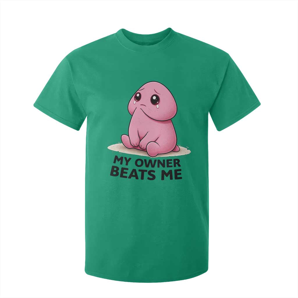 Funny Raunchy Meme My Owner Beats Me T Shirt For Kid Sarcastic Adult Gag Gift TS12 Irish Green Print Your Wear