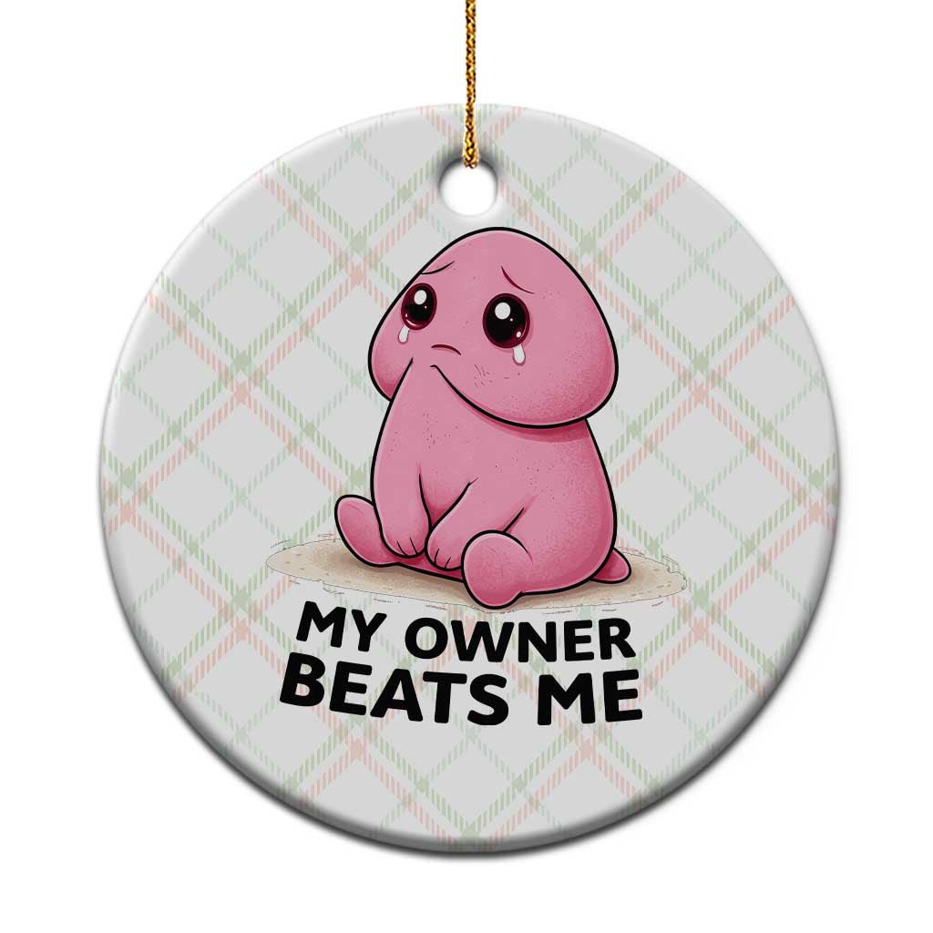 Funny Raunchy Meme My Owner Beats Me Ceramic Ornament Sarcastic Adult Gag Gift TS12 1pc Christmas Plaid Print Your Wear