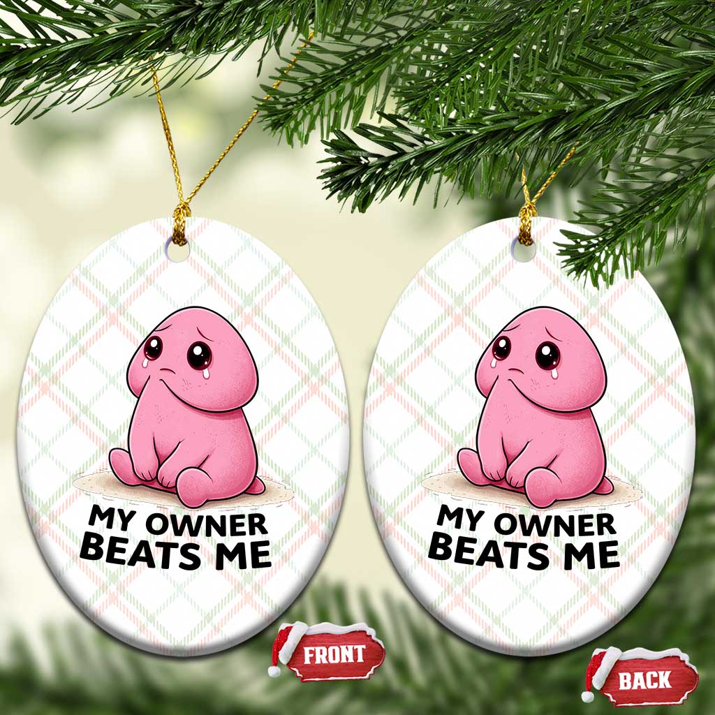 Funny Raunchy Meme My Owner Beats Me Ceramic Ornament Sarcastic Adult Gag Gift TS12 Print Your Wear