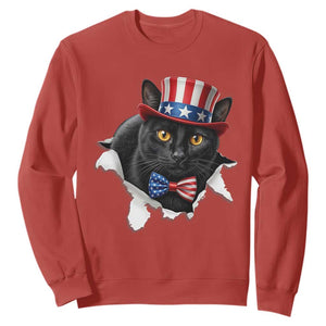 Funny Black Cat With Uncle Sam Hat Sweatshirt Patriotic Pet Lover