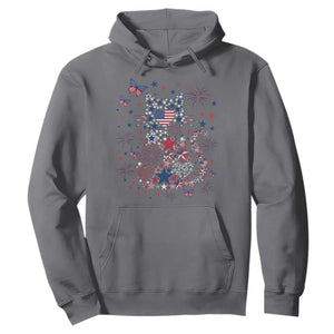 Funny Patriotic Cat Lover Hoodie 4th Of July Freedom