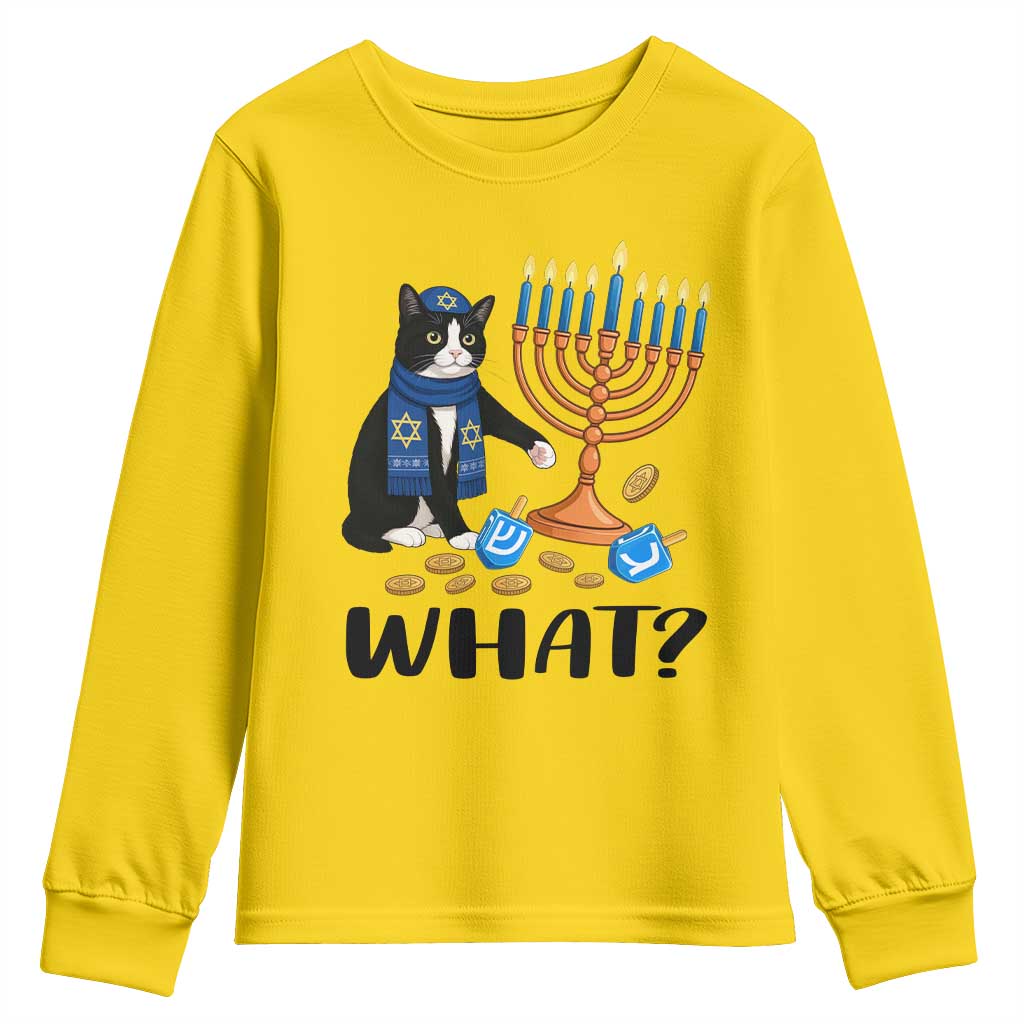 Funny Black Cat Chaos Hanukkah Menorah Gift Youth Sweatshirt TS12 Daisy Print Your Wear