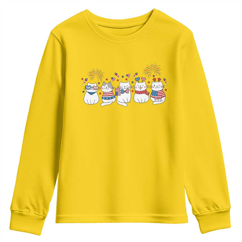 Patriotic Cat Lover Gift Youth Sweatshirt America 250 Anniversary TS12 Daisy Print Your Wear