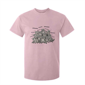 Funny Raccoon Grandma T Shirt For Kid Grandmother Chaos Trash Panda TS12 Light Pink Print Your Wear