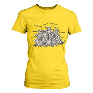 Funny Raccoon Grandma T Shirt For Women Grandmother Chaos Trash Panda TS12 Daisy Print Your Wear