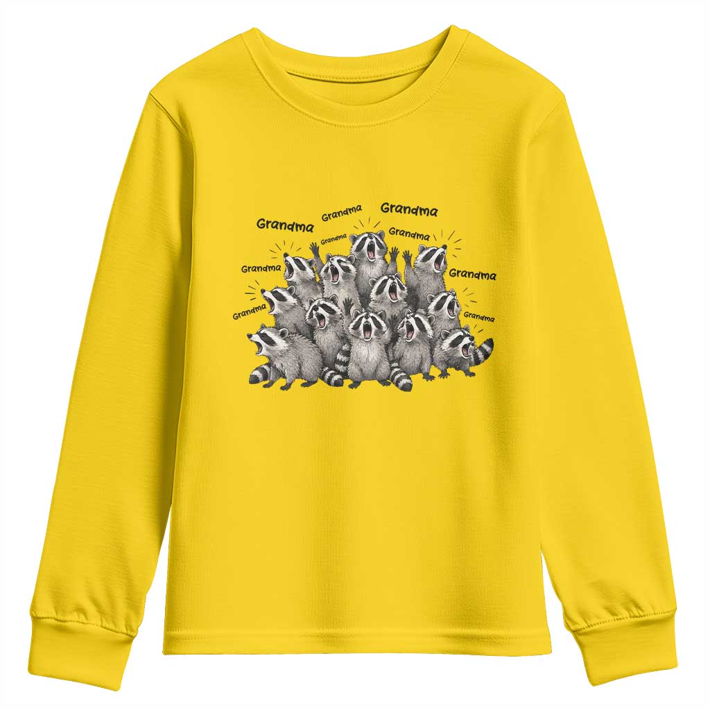 Funny Raccoon Grandma Youth Sweatshirt Grandmother Chaos Trash Panda TS12 Daisy Print Your Wear